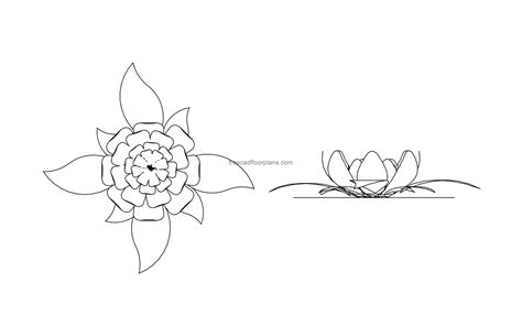 lotus flower elevation cad block